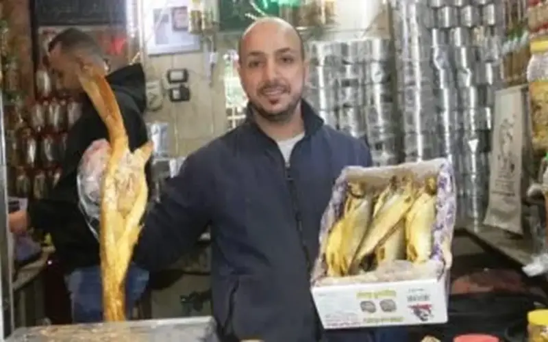 شم النسيم.. تعرف على أسعار الفسيخ والرنجة في أسوان